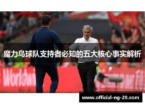 魔力鸟球队支持者必知的五大核心事实解析